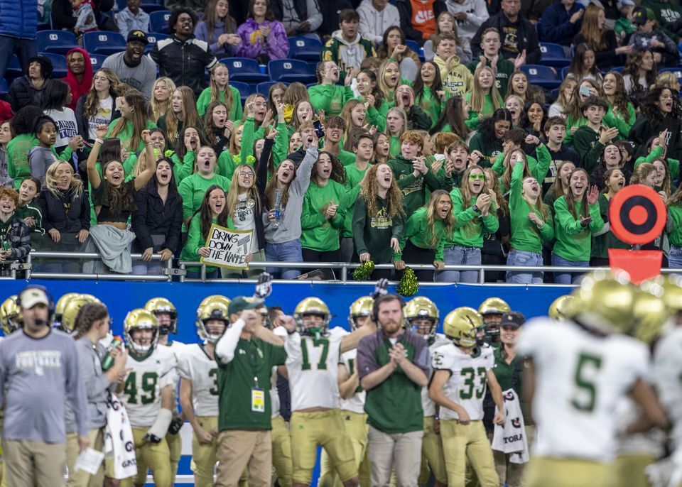 DETROIT, MI - NOVEMBER 24: Fans cheer as the Detroit Lions team