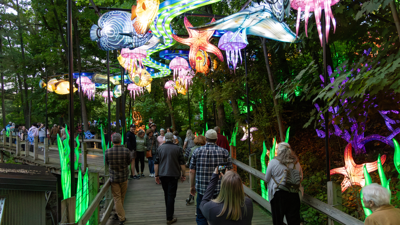 Grand Rapids Lantern Festival returning to John Ball Zoo ...
