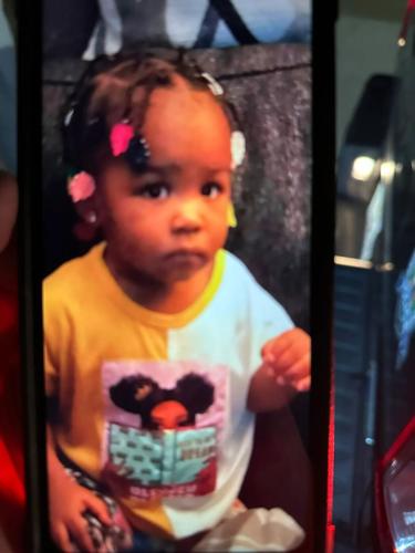 Missing 2 Year Old Girl Is Found Dead In An Overgrown Detroit Alley State