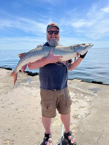 Local angler catches 'fish of a lifetime'off GH pier