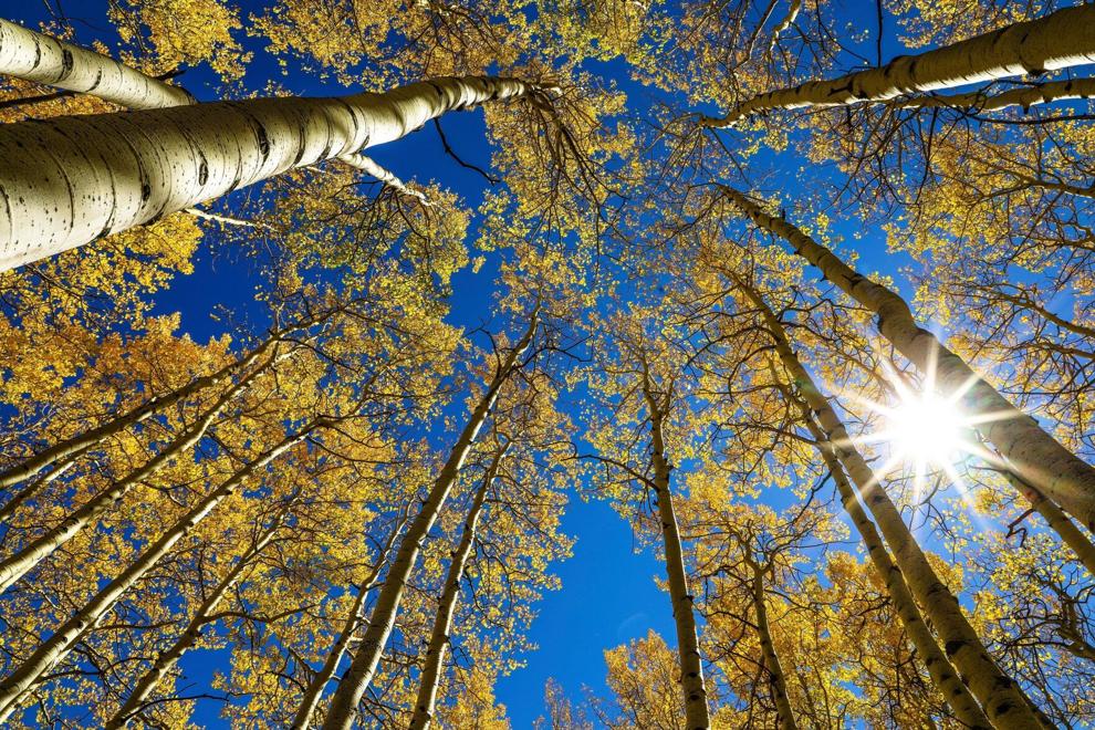 Day and night get equal billing Tuesday: A guide to the fall equinox