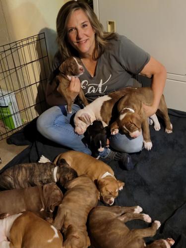 Tammy Miedema and Canela's puppies 2.jpg