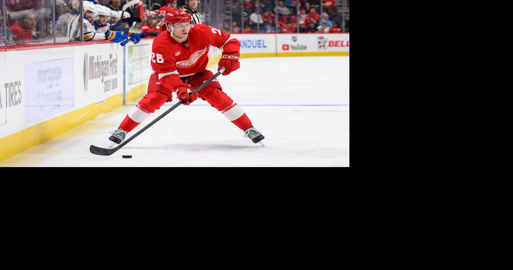Young players driving Red Wings during hot streak | Sports ...