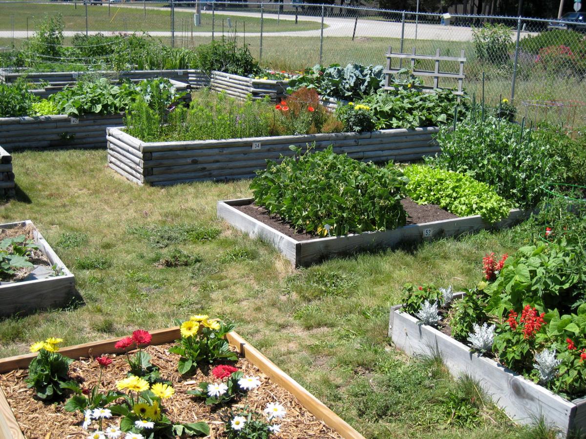 Plots available at Grand Haven community gardens