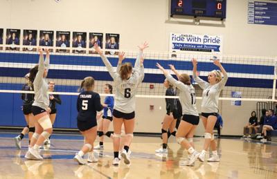 Fruitport Volleyball Falls In District Semifinals Sports
