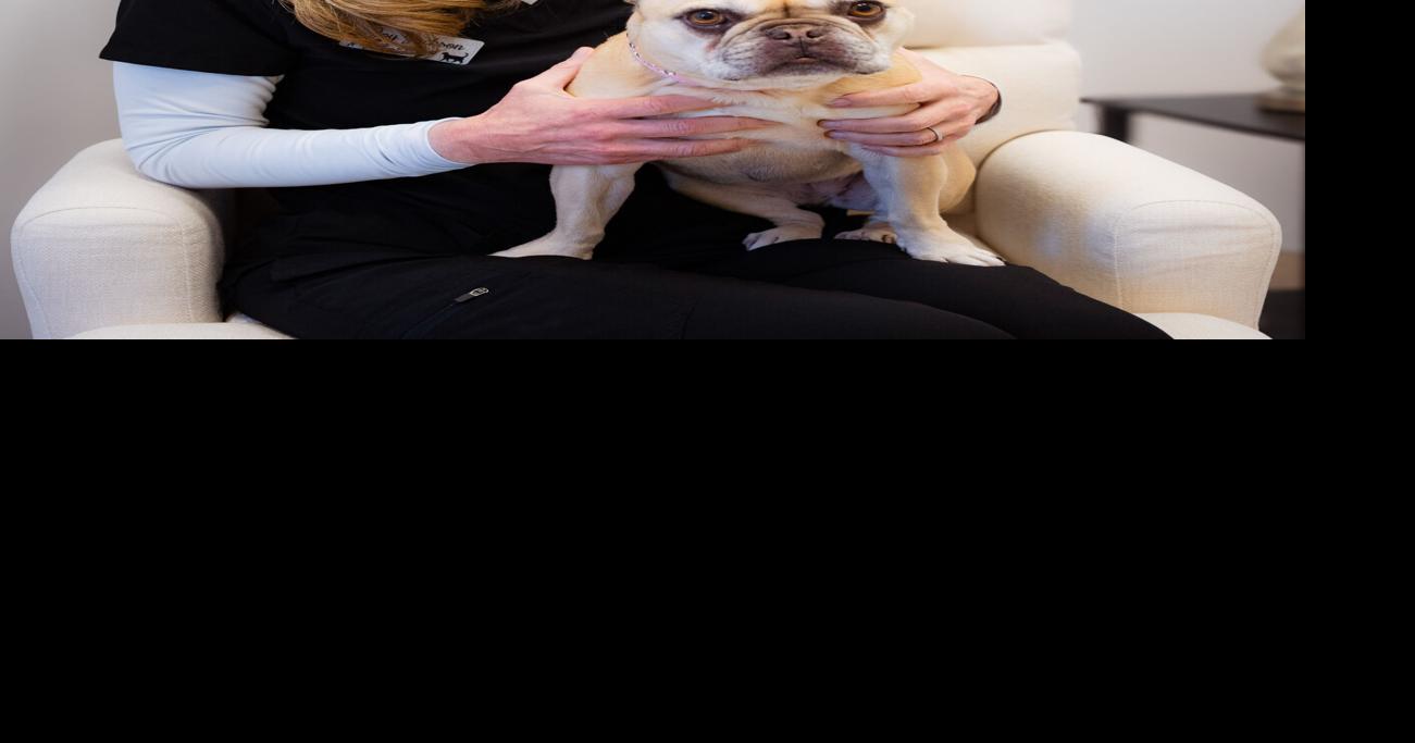Fruitport Animal Hospital under new ownership