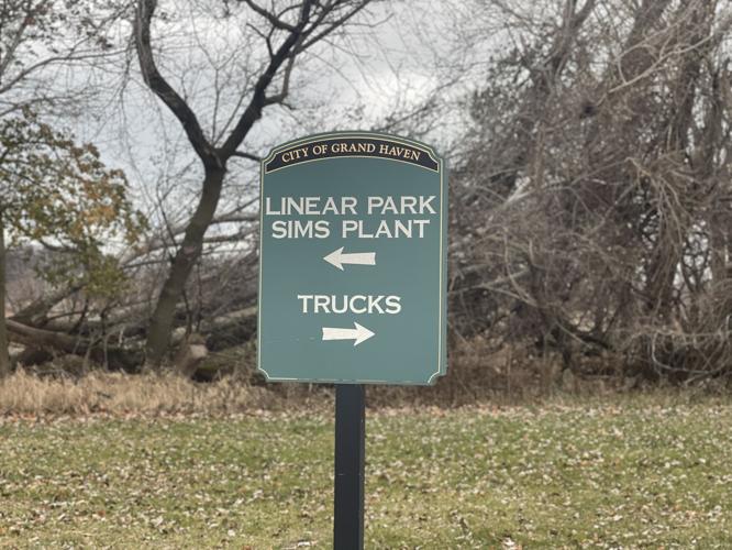 Linear Park 2
