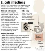 Local E. coli cases increase to 14