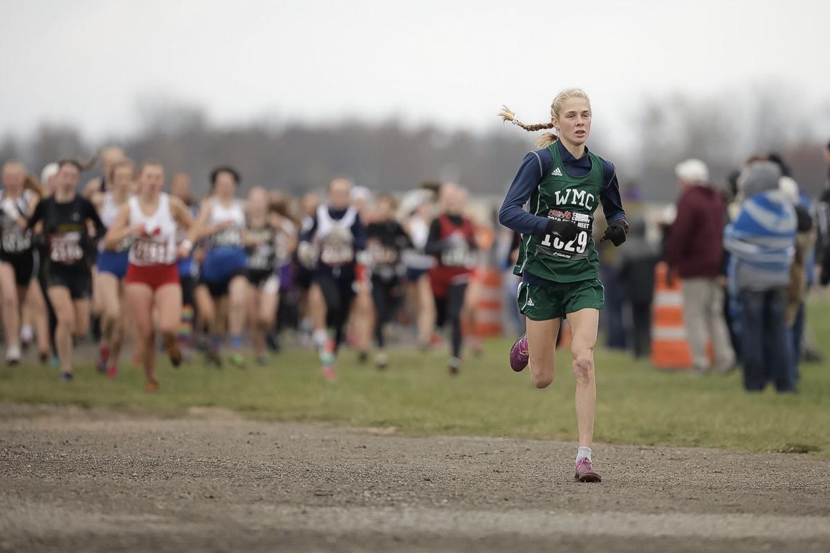 Wmc S Vanderkooi Wins D4 Title State Xc Results Sports Grandhaventribune Com
