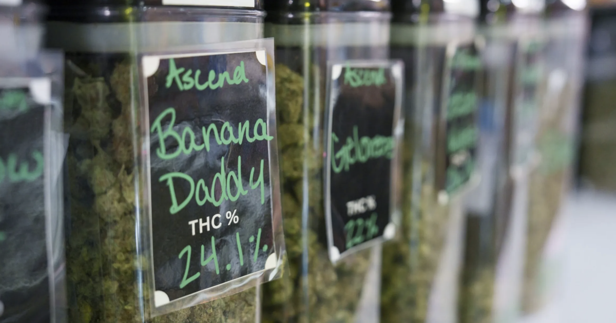 U-M study: 1 in 5 young adults using marijuana, alcohol to fall asleep