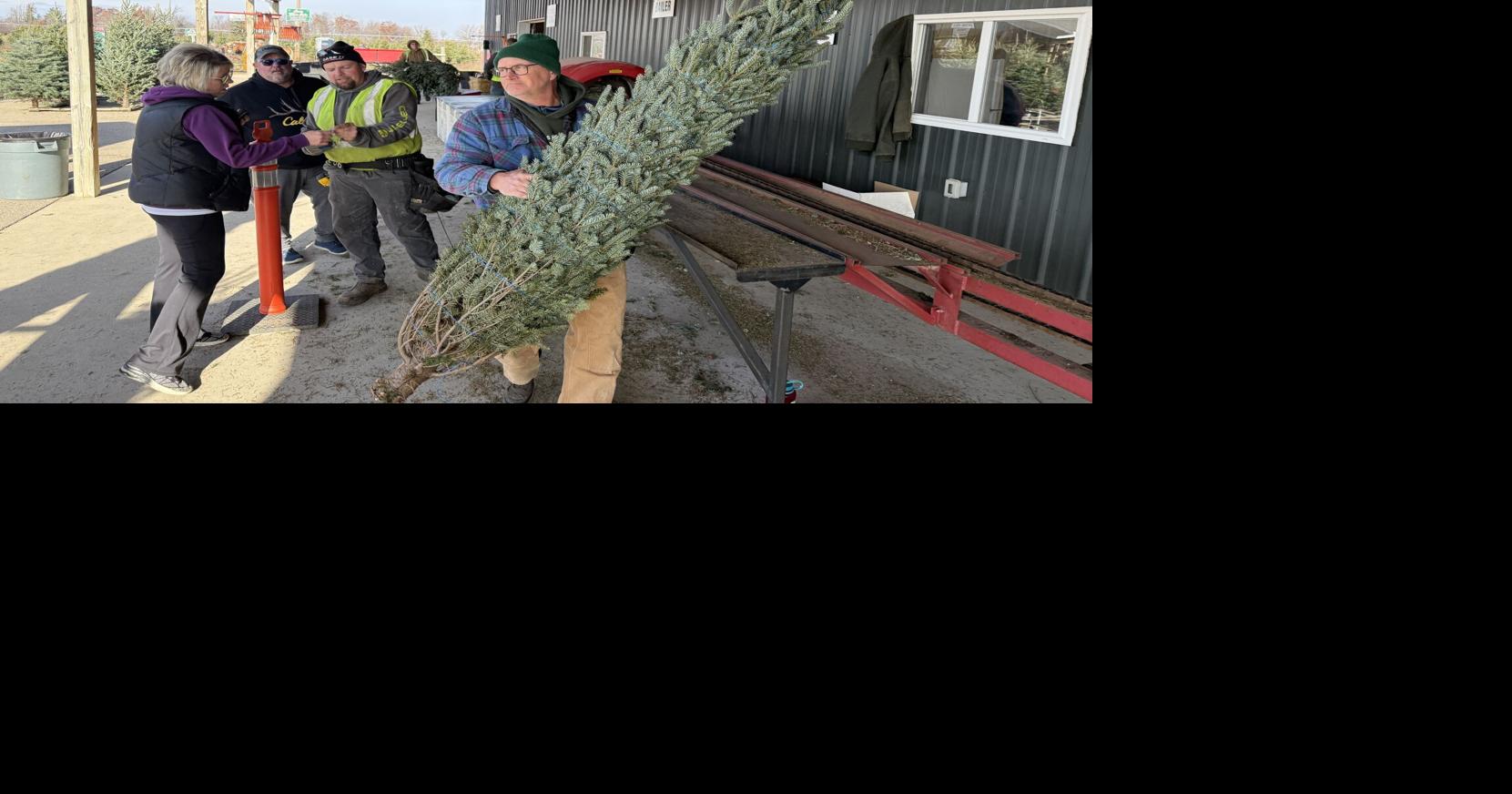 Local Christmas tree farms ready for holiday season | Hobbies ...