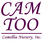 Cam Too Camellia Nursery | Wholesale Plants | Greensboro