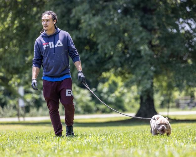 SPCA Adoption