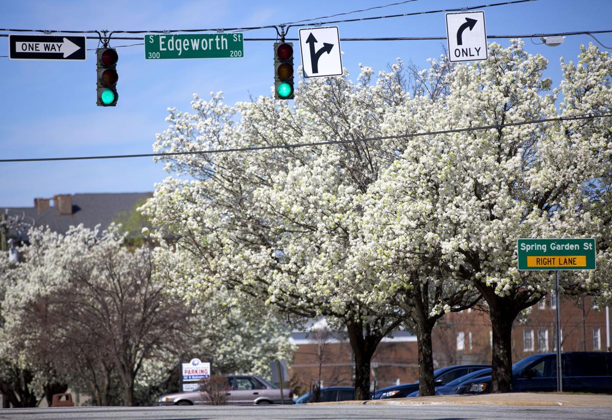 Springtime in Greensboro Oh, the smells you'll smell News