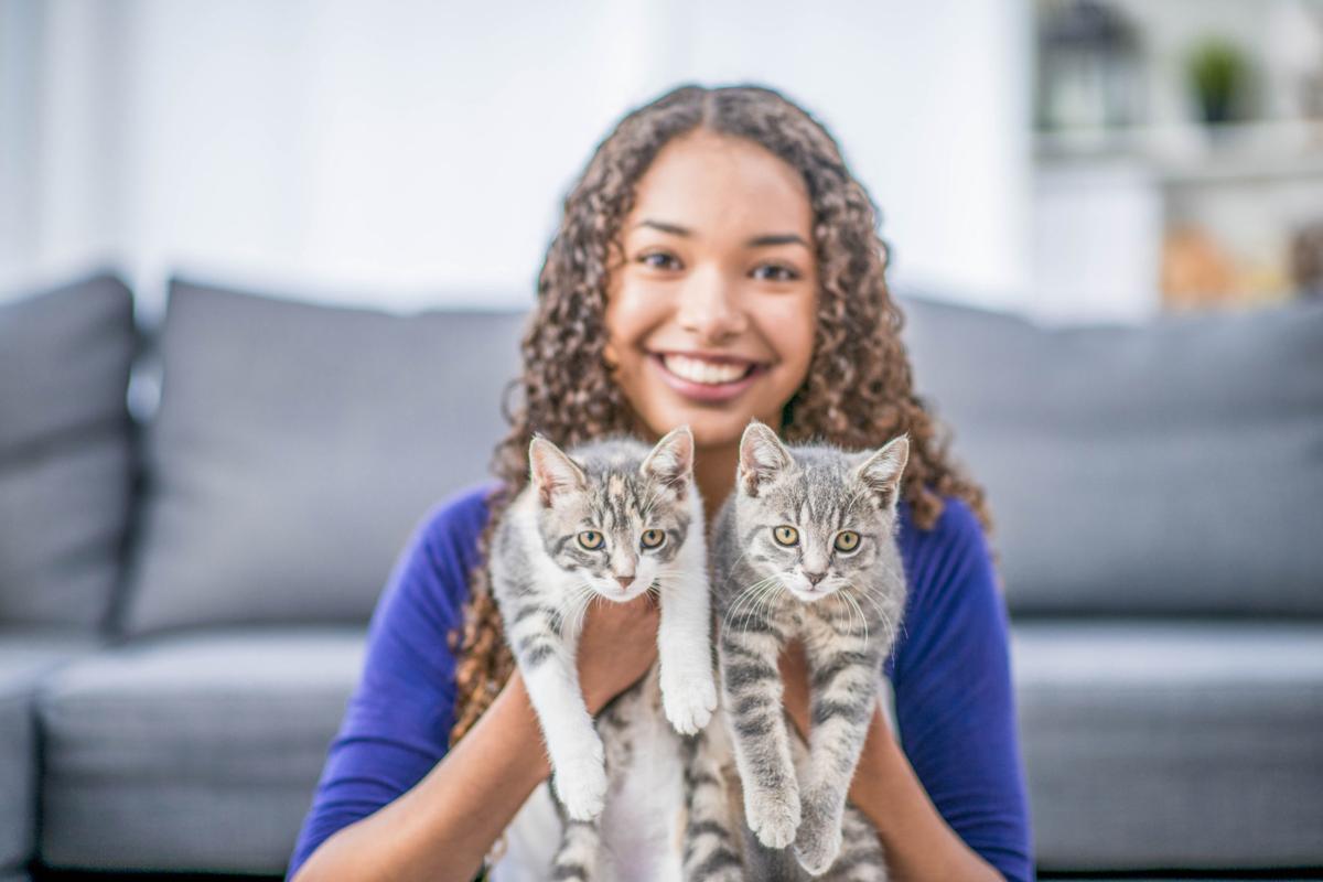 Pet adoptions.jpg
