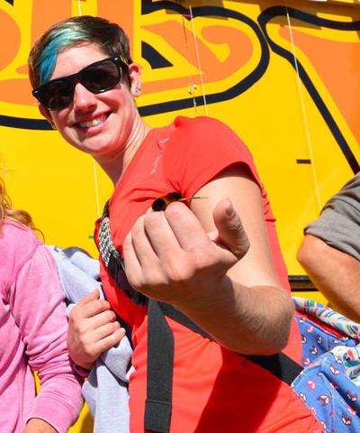 Woolly Worm Festival Travel Greensboro Com