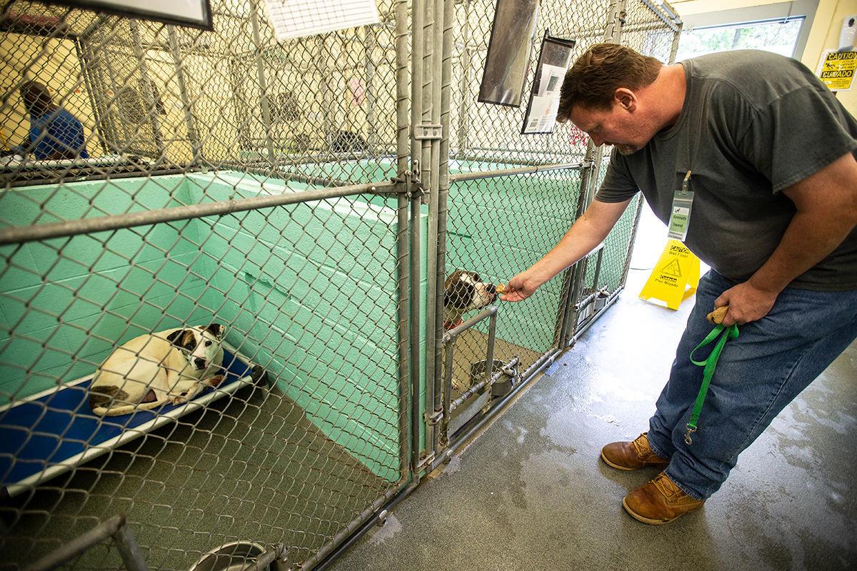 Gail Williams Guilford County Animal Shelter needs more employees and