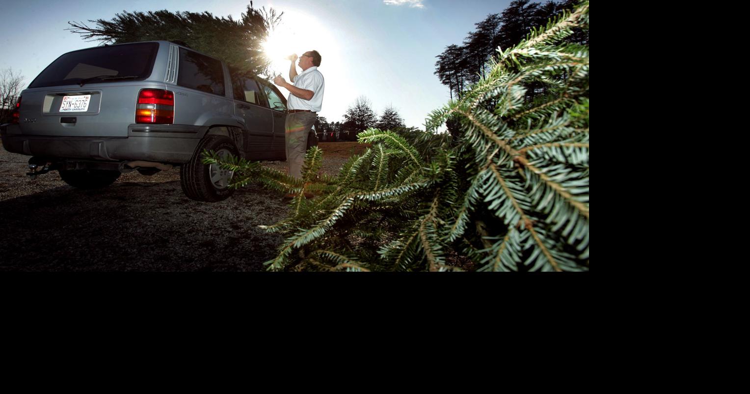 Here's how to dispose of your live Christmas tree in Guilford County