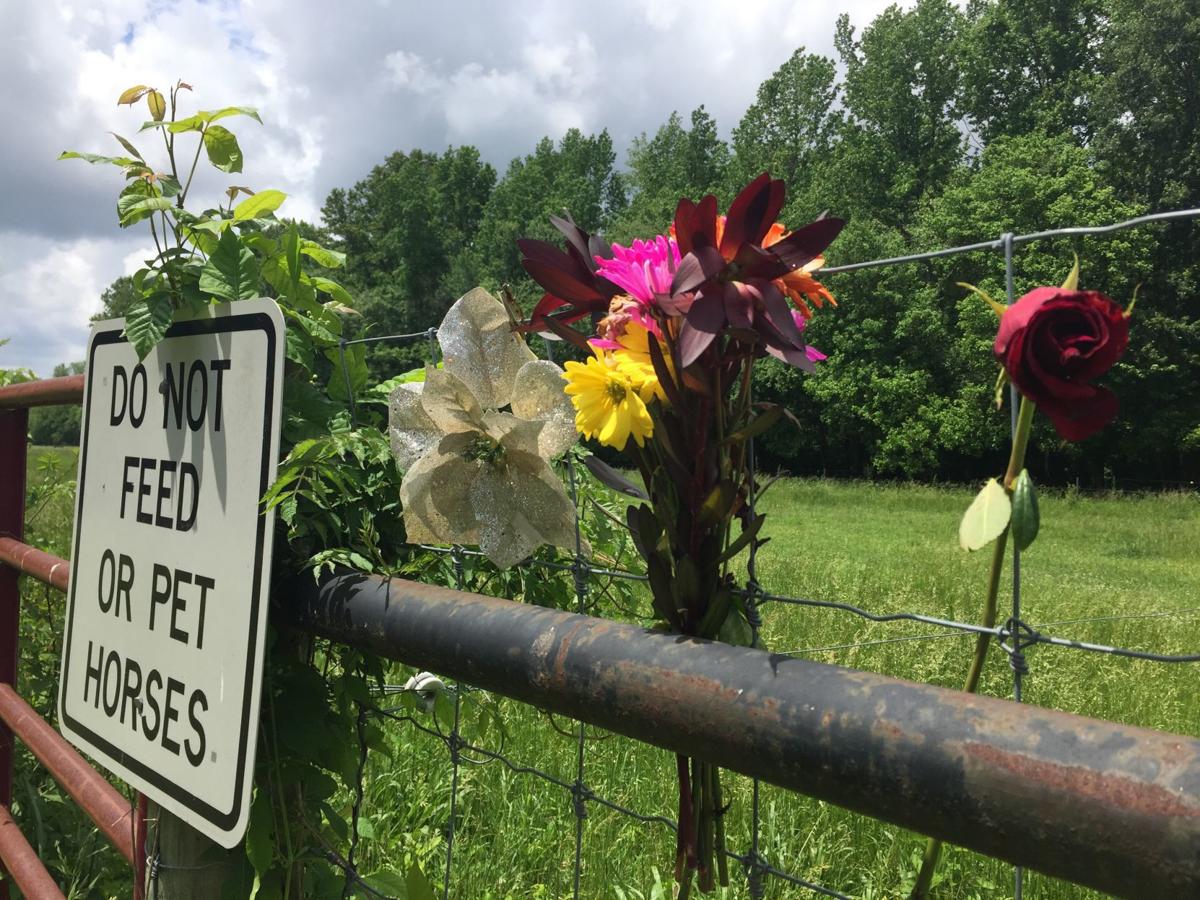 Man Accused Of Shooting Horses Faces More Than A Dozen Charges In Winston Salem Crime Greensboro Com