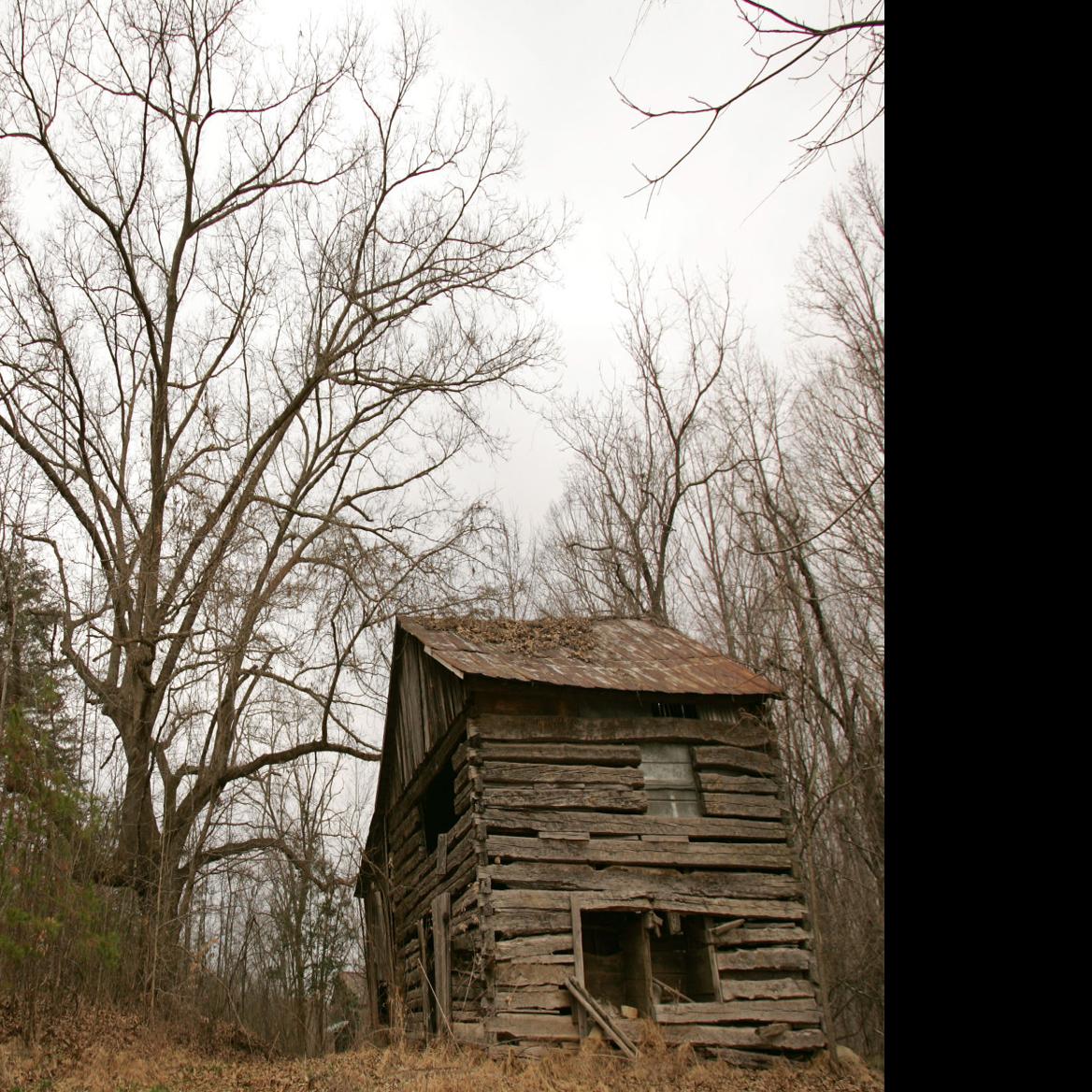 Trees Worth Treasuring News Greensboro Com