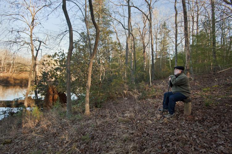 Forest Bathing
