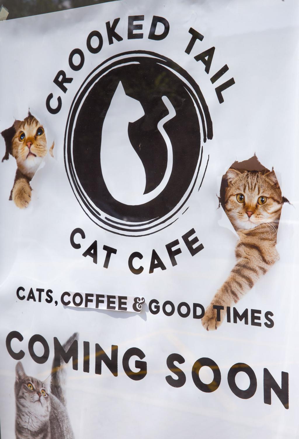  Crooked Tail Cat Cafe Menu 