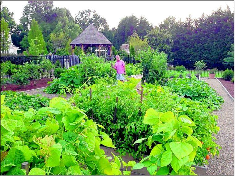 Edible Gardens Greensboro Com