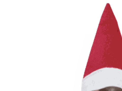 Is Elf On The Shelf Preparing Your Child For A Future Police State Latest News Greensboro Com