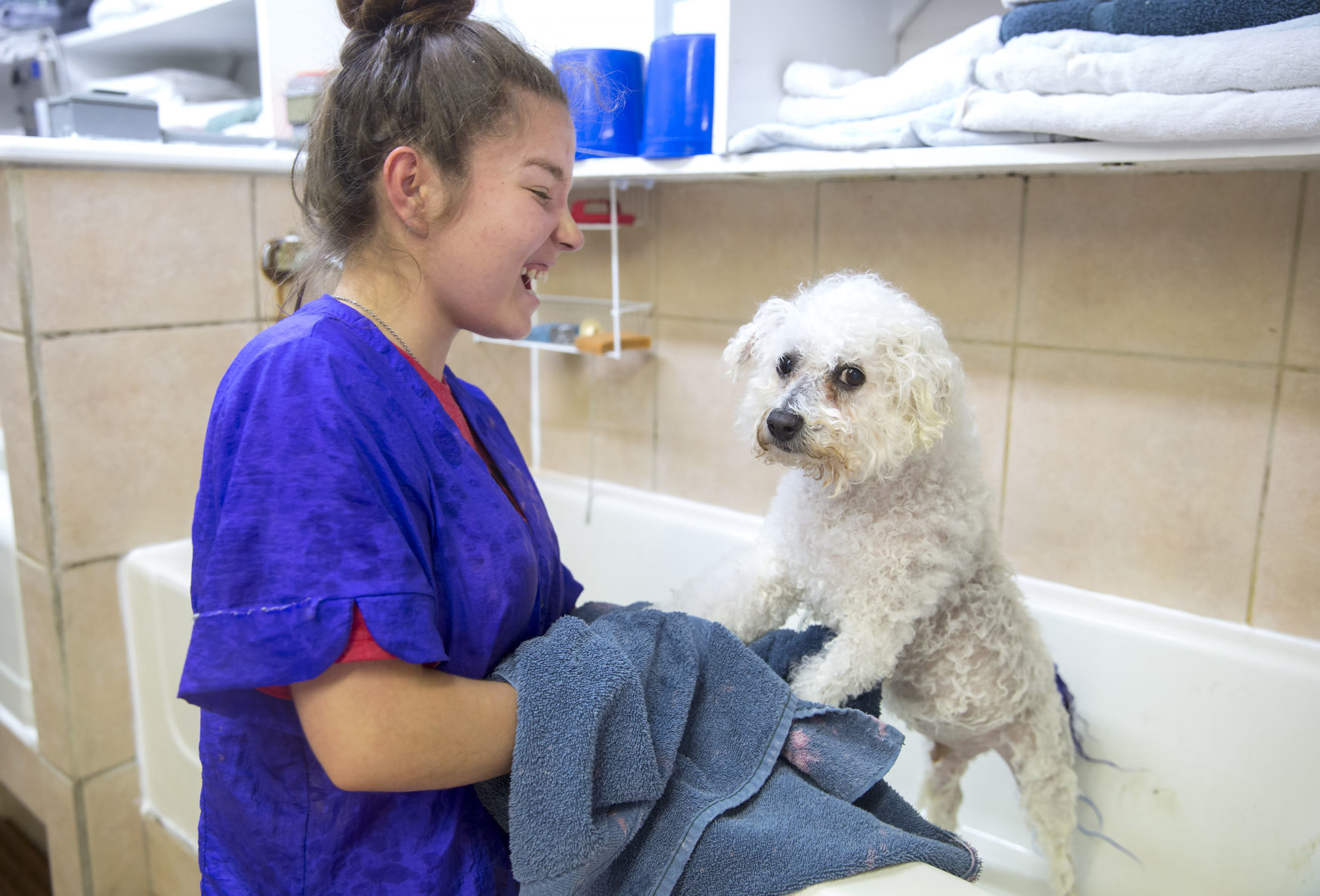 paws grooming spa staten island