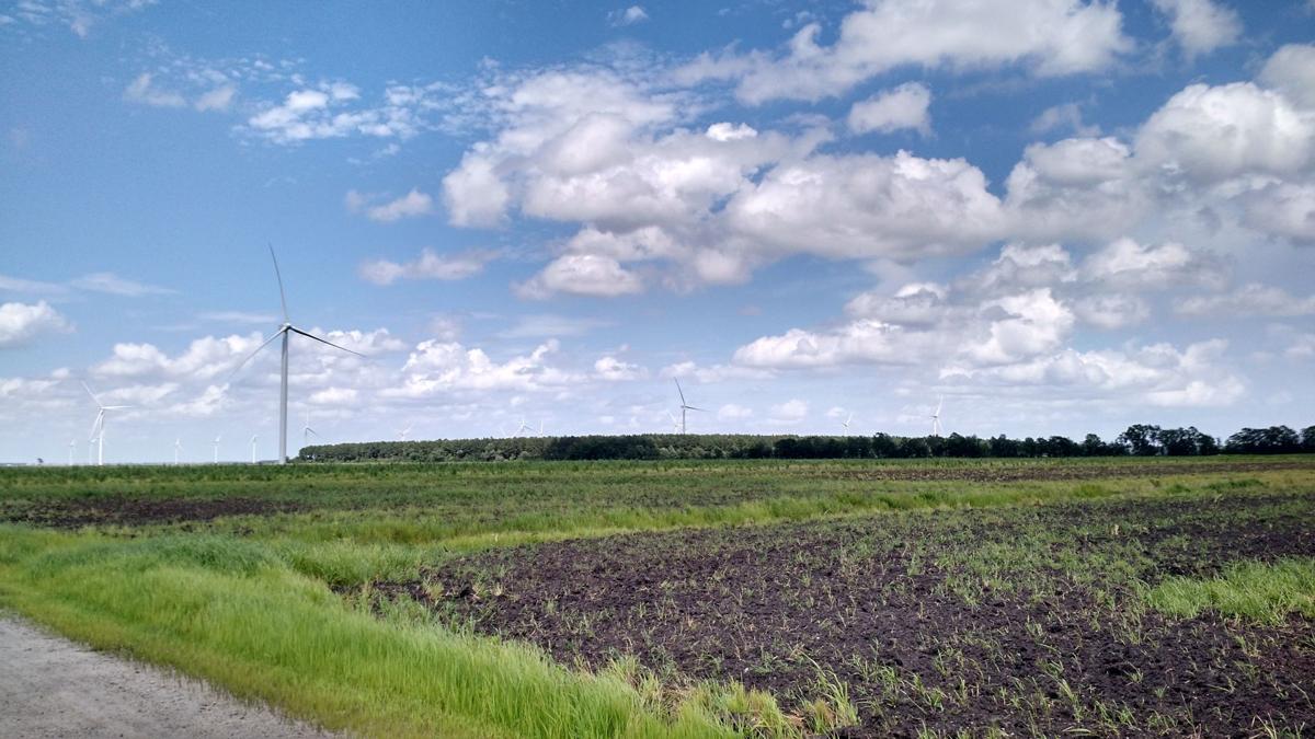 wind photo with elmore 080217