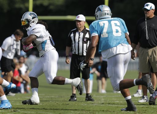 DeAngelo Williams, Greg Hardy