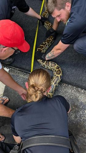 Greensboro Animal Control recovers 9-foot-long python