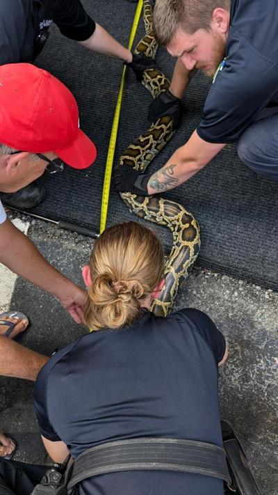 Greensboro Animal Control recovers 9-foot-long python