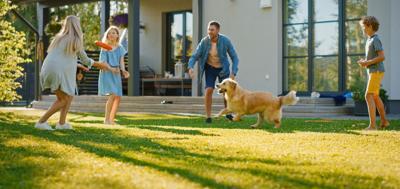 Enjoy a lush landscape efficiently and sustainably with a smart irrigation system