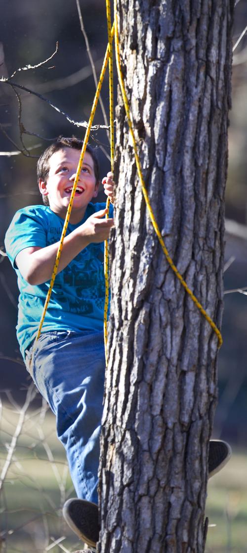 tree_climbing_solo__