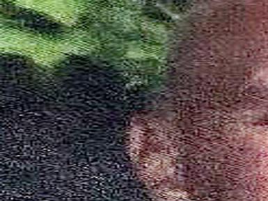 Hadley Richard Ricky Allen Obituaries Greensboro Com