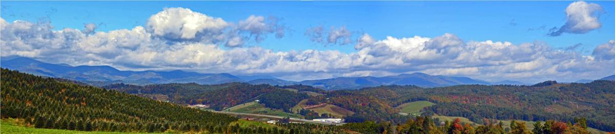 Looking To Cut Your Own Christmas Tree We Ve Got You Covered Lifestyles Greensboro Com