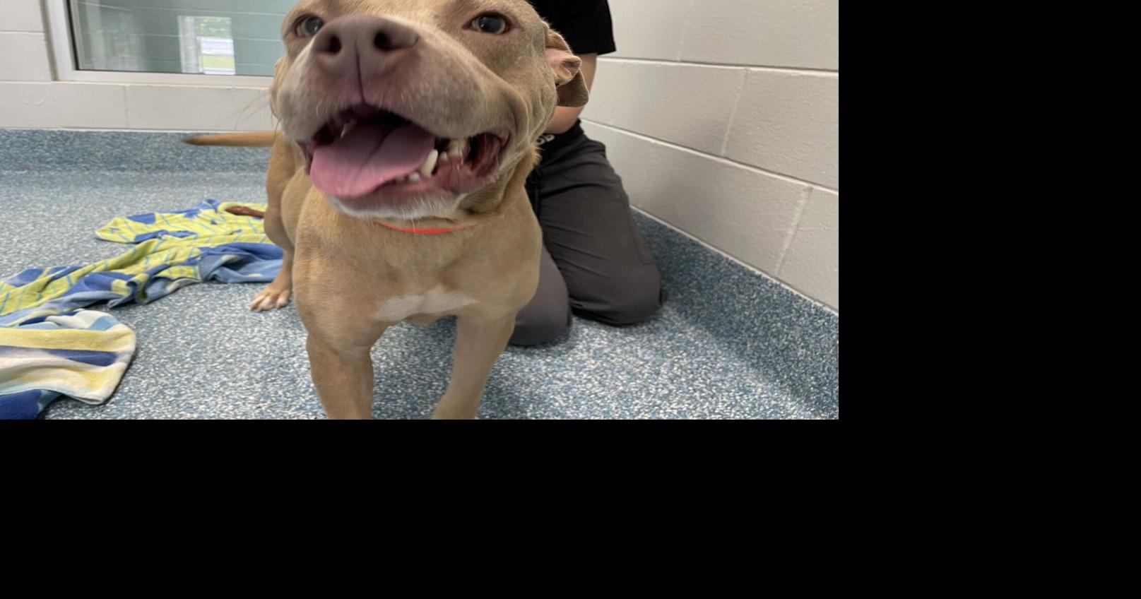 Kenwyn Caranna Journalist Profile Intelligent Relations