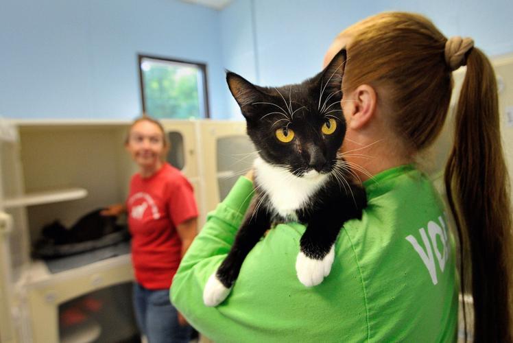 Guilford Shelter 06_082215