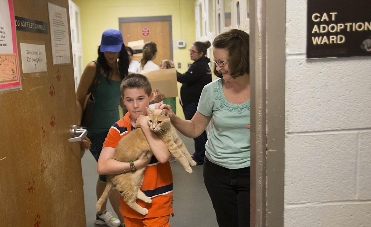Guilford County Animal Shelter Gallery