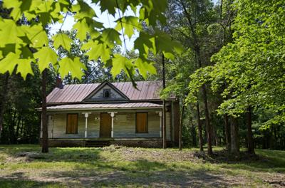 Tour of Rich Fork Preserve in High Point
