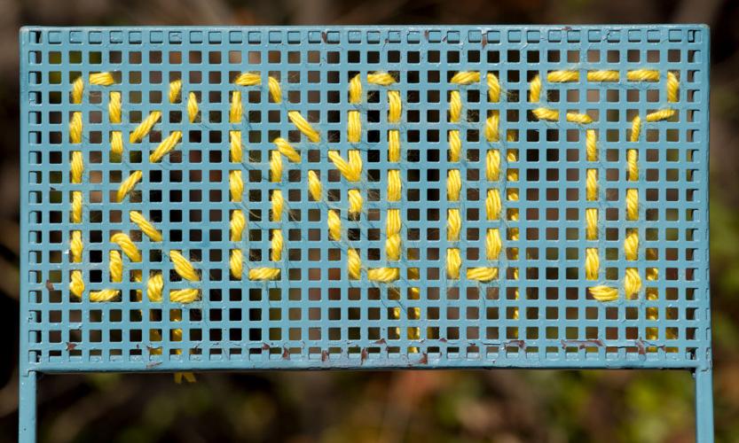 Knit The Bridge