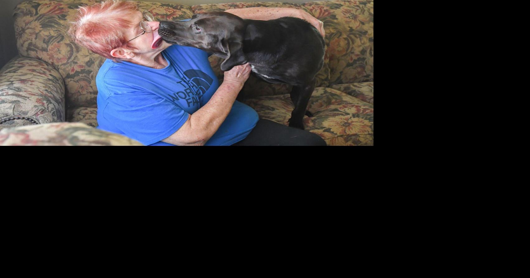 Hero dog reunited with owner after being swept away in Virginia floodwaters