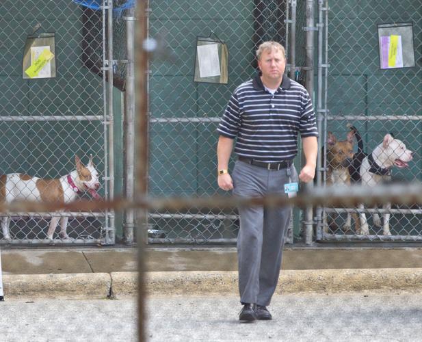 Guilford County animal shelter