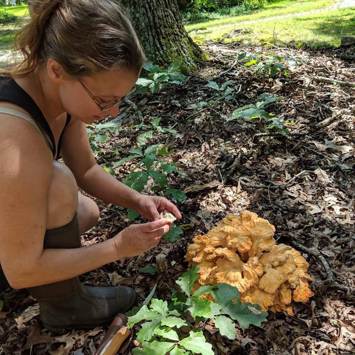 Rcc Offers Shroom Identification Course Find Fungi For Profit