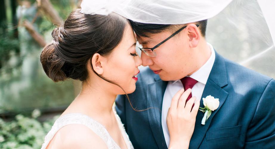 Wedding Story