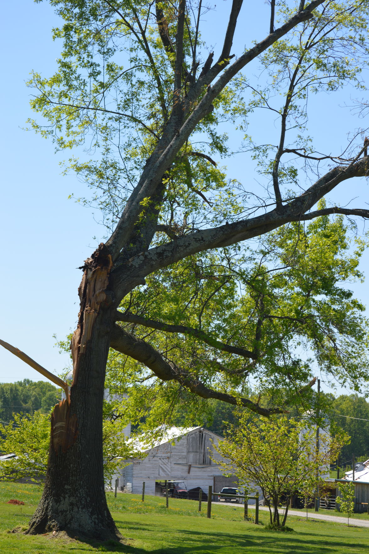 Rebuilding The Barn Oakhaven Picks Up The Pieces Following April