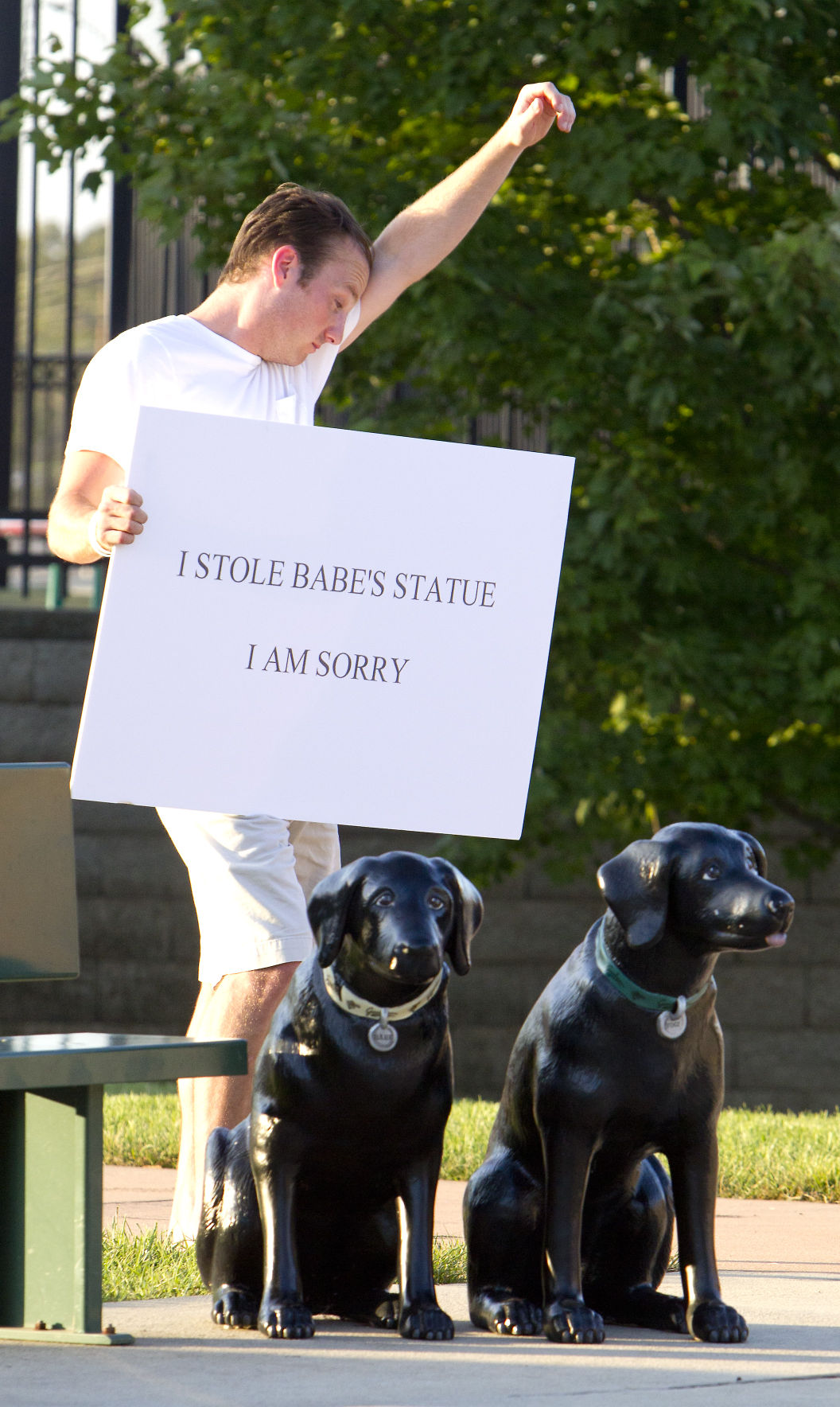 black lab master yogi berra statues black lab master yogi berra statues