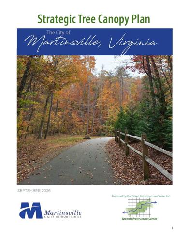 City Tree Canopy Plan to be Presented at October 27 Council Meeting