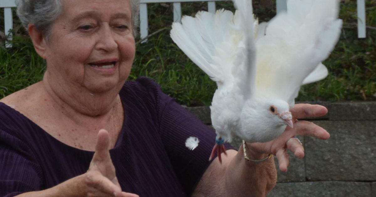 Ann Fish Rockingham Ann Fish celebrates 60 years in journalism (Video)